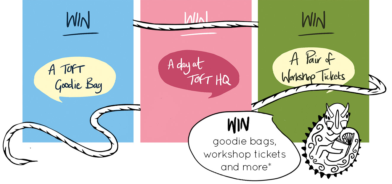 TOFT twenty years celebration prize entry win